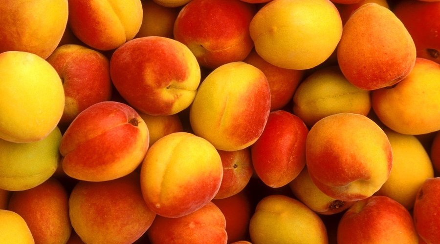 Россия может запретить ввоз молдавских фруктов на свою территорию