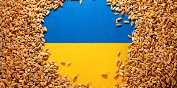 Россия должна ответить за кражу и продажу украинского зерна