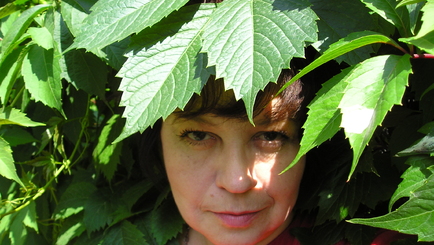 Литературные мечтания - 2011