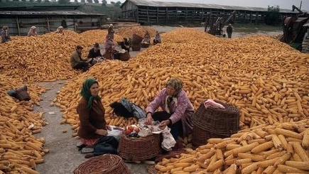 В.КЮРКЧУ, эксперт: 