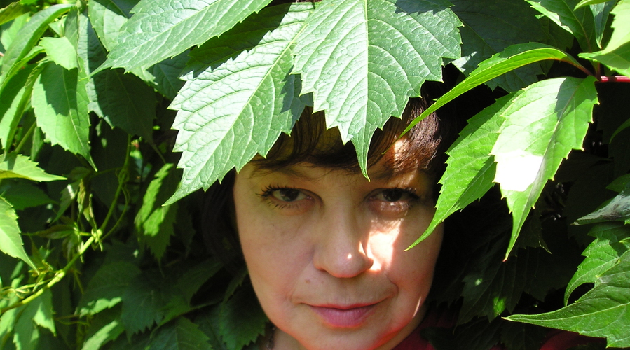 Литературные мечтания - 2011