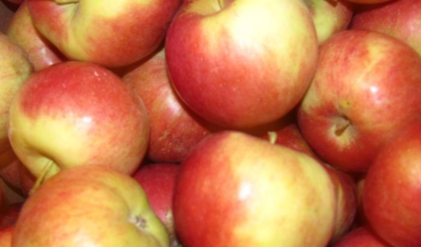 Первая партия яблок из Молдовы доставлена в Бангладеш