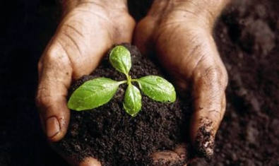 РМ  ежегодно теряет более 26 млн. тонн плодородных земель