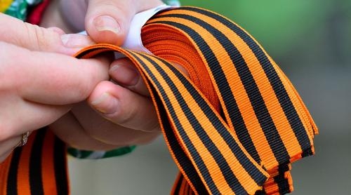 Как суд задвинул Ирину Влах