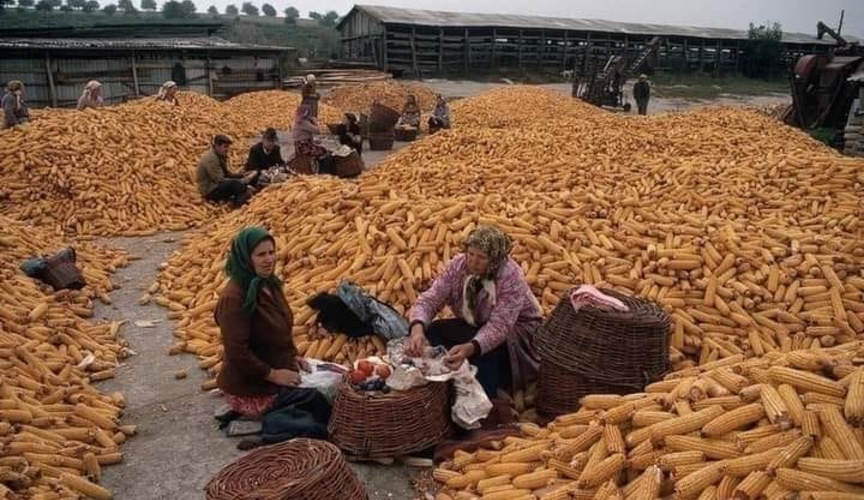 В.КЮРКЧУ, эксперт: 