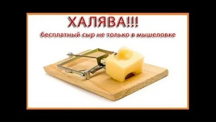 Мышеловка «Всемирного фестиваля молодежи» и Мэрцишор