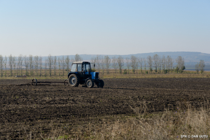 АИПСХ перечислило на счета сельхозпроизводителей 461 млн. леев