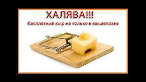 Мышеловка «Всемирного фестиваля молодежи» и Мэрцишор