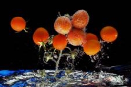 Юрий Евтодиев: В Приднестровье надо развивать рынок замороженных овощей