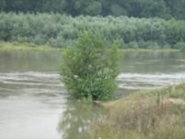 Уровень воды  в Днестре продолжает подниматься