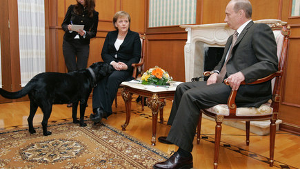 Для чего 11 января в Москву прилетает Меркель?