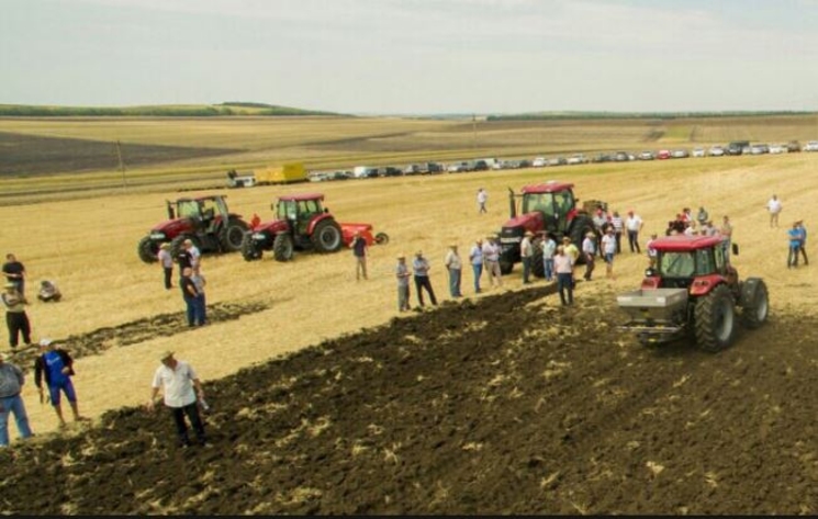 Предприниматели Гагаузии и Тараклии будут развивать бизнес на европейские деньги