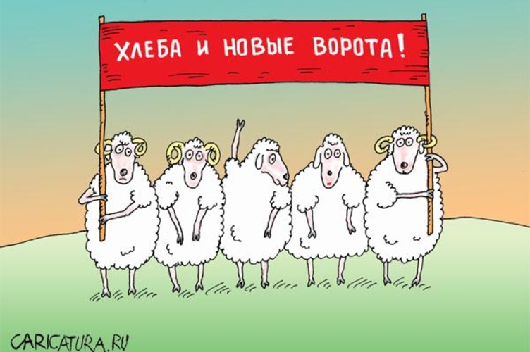 Драка на праздник. Почему без Майи и Додона?