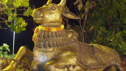 Молдавская «священная корова»