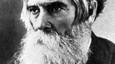 Владимир Бехтерев: 