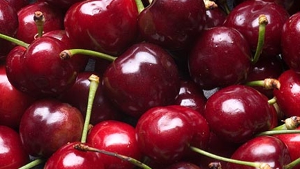 Россельхознадзор не пропустил крупную партию молдавской черешни