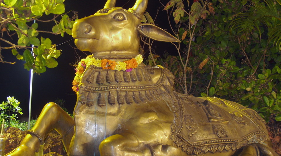 Молдавская «священная корова»