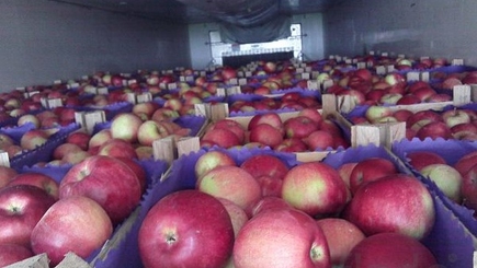 Россия вернула 19 т ввезённых из Казахстана молдавских яблок