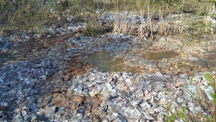 В России нашли тайник с миллиардами рублей выброшенных в болото