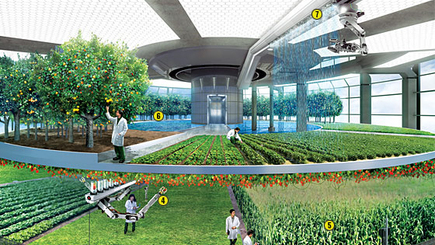 Пять технологий, которые перевернут сельское хозяйство