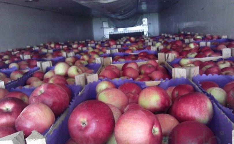 Россия вернула 19 т ввезённых из Казахстана молдавских яблок