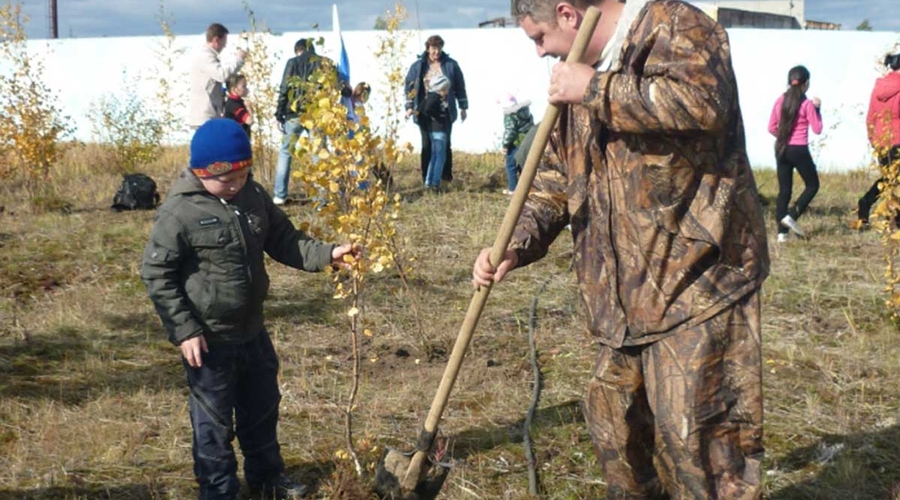 Сегодня в РМ посадят более 250 тыс. деревьев