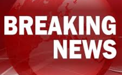 Лупу низложен