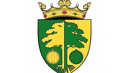 В Страшенах власть разделили ЛДПМ и ПКРМ