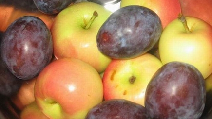 Молдова увеличила в разы экспорт яблок и слив в Беларусь