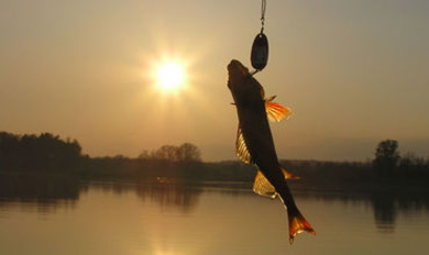 В Молдове открылся рыболовный сезон