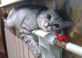 Кишинев: тепло в дома дадут в пятницу