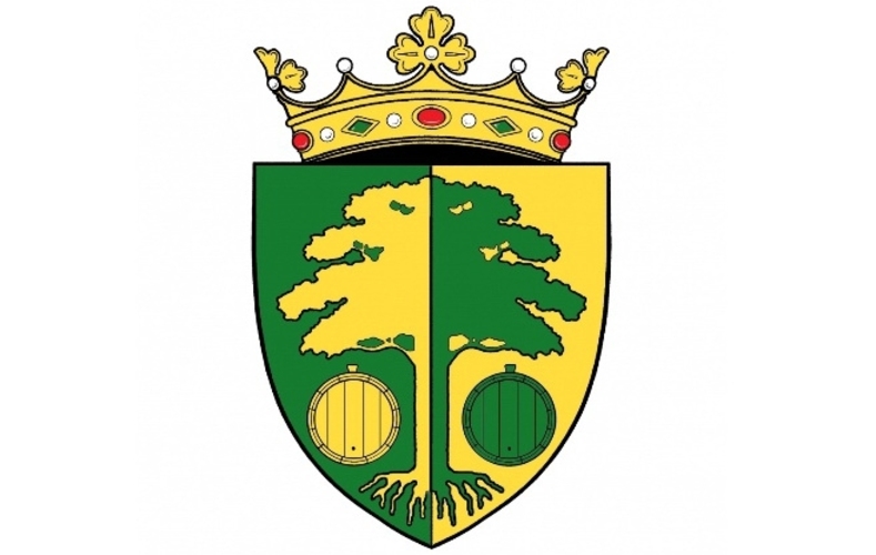 В Страшенах власть разделили ЛДПМ и ПКРМ