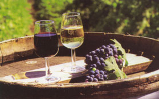 Турецкие предприниматели профинансируют молдавское виноделие