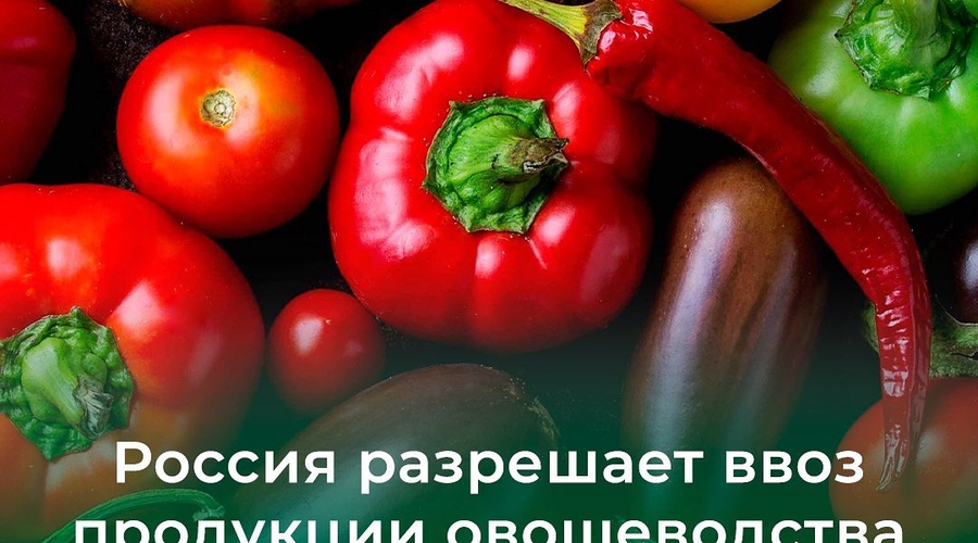 Теперь России просто некуда деваться!